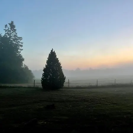 펜션 Urikivi House